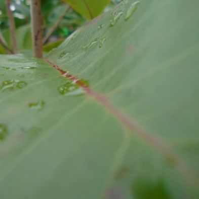 tsa_PhotoclubWk4 (11)